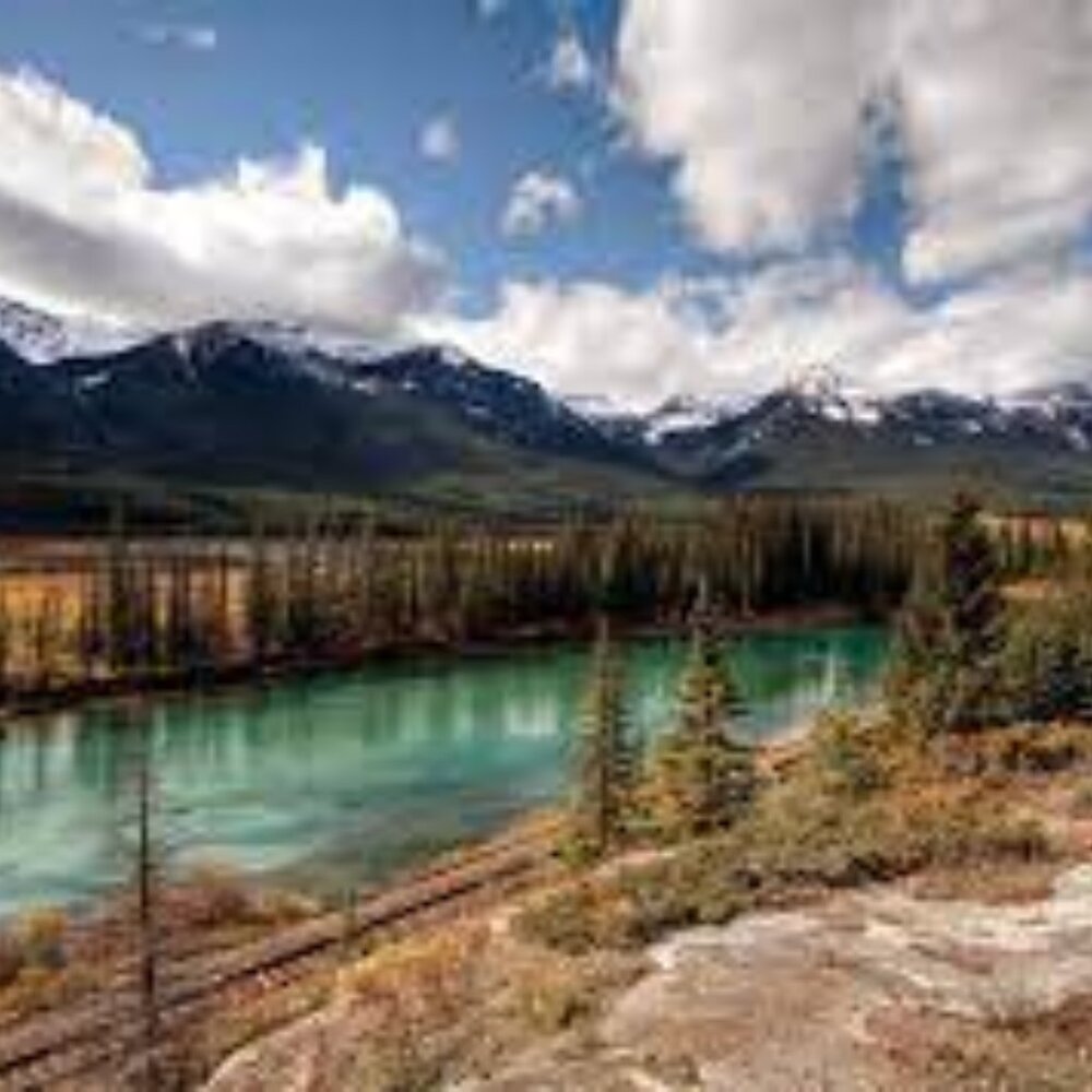 Womens and Girls Clearance Low Starts